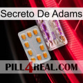 Adams Secret new12